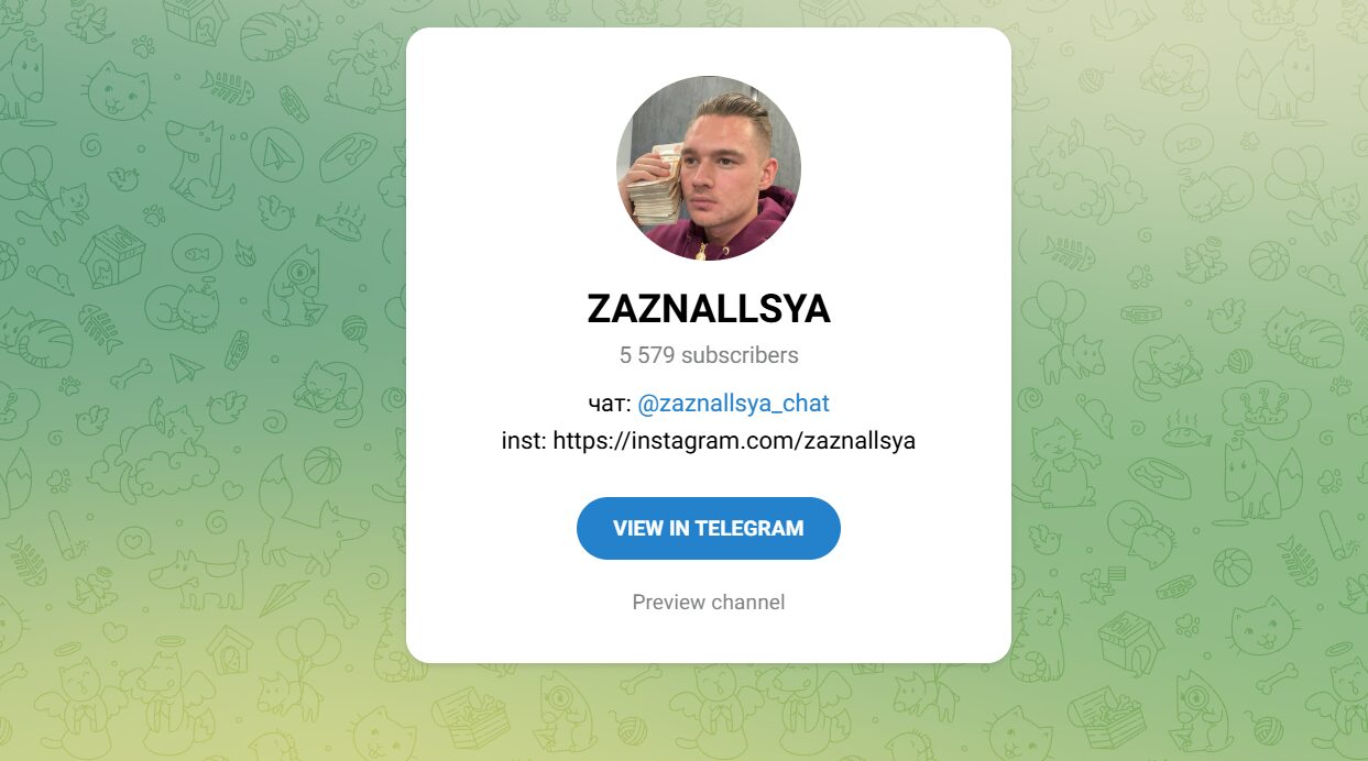 ТГ-канал ZAZNALLSYA
